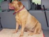 gwenny_2_201
