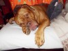 gwenny_3_609