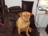 gwenny_1_589