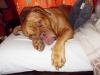 gwenny_3_609