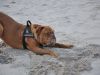 und_jetzt_nochmal_toben_146