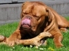 bild_9_ingos_und_ankes_haegar_172