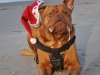 weihnachtsbild_missglueckt_185