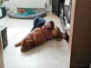 hennessy-und-enkeltochter1