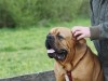 img_0737_960