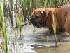 img_0753_559
