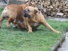 img_0805_121