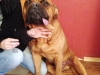 hutch1