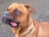 hutch2