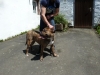 jacky2