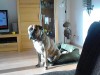 img-20161023-wa0000