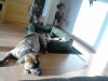 img-20161023-wa0001