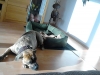 img-20161023-wa0001