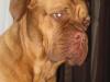 jess13_210_569