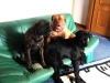 eine_couch_fuer_alle_4_171