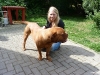 lissy-3