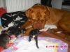 lola3 lola3