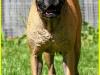 lorine110614-4