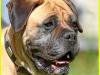 lorine110614-8