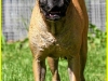 lorine110614-4