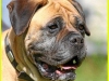 lorine110614-8