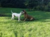 img-20161031-wa0012