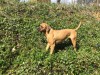 img-20161031-wa0022