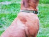 img-20161101-wa0000
