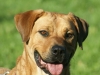 luca_portrait