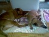 imag0177_572