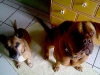 imag0106_977