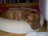 imag0379_205