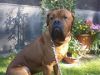 manni1