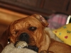 img_1083 img_1083