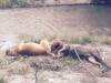 milan-und-mayla-2