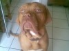 bild024