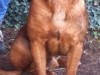 oskar2