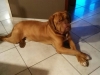 Oskar6