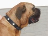 pablo_2_872