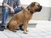 pablo_4_462