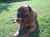 pascha_2_928