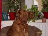 cid_cd04f5282c8485deec239d95031901e8_591