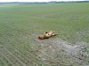 16042012699
