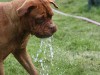 img_2248
