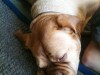 bild2