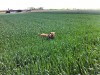 bild3