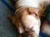 bild2