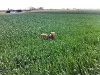 bild3