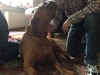 sunny-und-papa