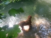 20130608_093446_resized